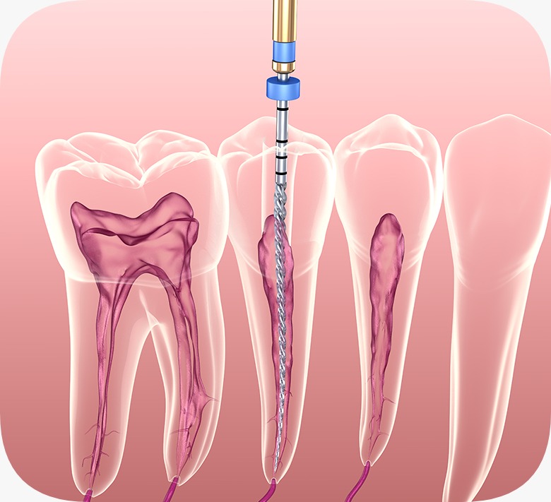 WhatsApp Image 2026-04-03 at 12.31.31 (1)